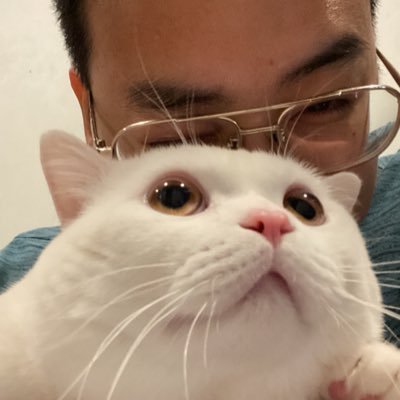 TeamThemez's profile picture. 