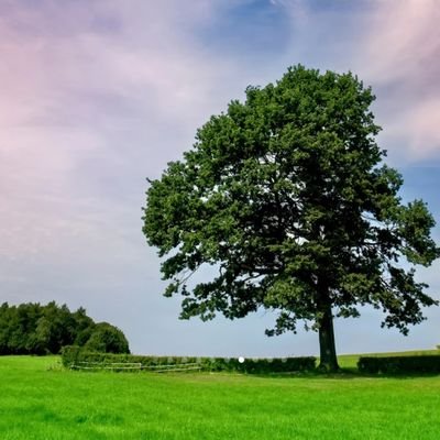 kaikai2814's profile picture. 