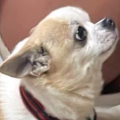 aw_kostrzewa's profile picture. Hej