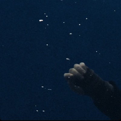 biersackv27's profile picture. 