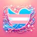 Trans X Beauties (@TransXDivas) Twitter profile photo