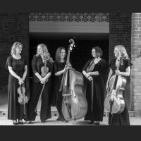 Toscana Strings(@toscanastrings) 's Twitter Profile Photo
