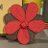 WataAki_0529