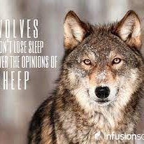 greenripple2's profile picture. $XRP #LEEDS MOT

Fall down 7 times get up 8