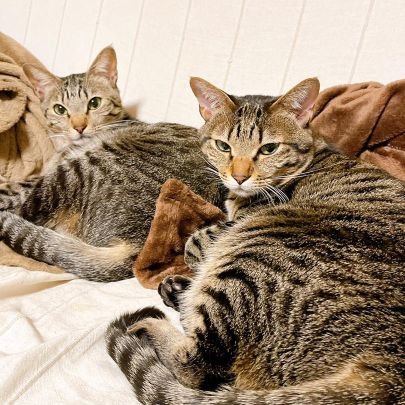 MaoWo77122's profile picture. 💝🥀❤️