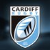 Cardiff Rugby Defender Cup (@CardiffRugbyCup) Twitter profile photo