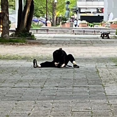 mita0801's profile picture. 30↑100↓成人済雑多垢。コス最近してない/薔薇百合なんでも食う/ ALNST沼/ mhyk/リゼロ/恋深 /twst/えすり/男はじ/第五/SK8/gnsn/刀剣/🎤/2.5も見ます/たまにRPS注意！ネタバレ下ネタ日常ツイ多発。RP多ミュート推奨。さよならはB解で。無言フォローすみません好きです。基本鍵です