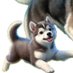 SnollyG (@snollygosting) Twitter profile photo SnollyG (@snollygosting) Twitter profile photo