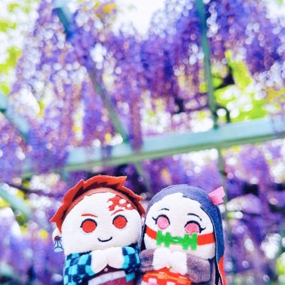 かんちゃん🦮さんのプロフィール画像