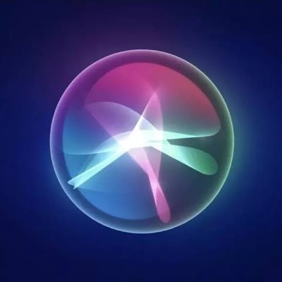 Zelkovaserrata0's profile picture. ねこかわいい ねこもふもふ ISFP-T