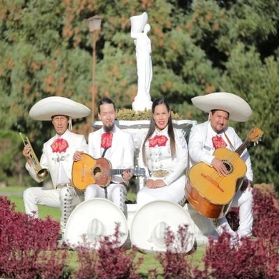 Somos de la ciudad de quito con las mejores canciones de música mexicana te ofrecemos 10 canciones completas somos 5 músicos jóvenes 096146935/// 0998622228
