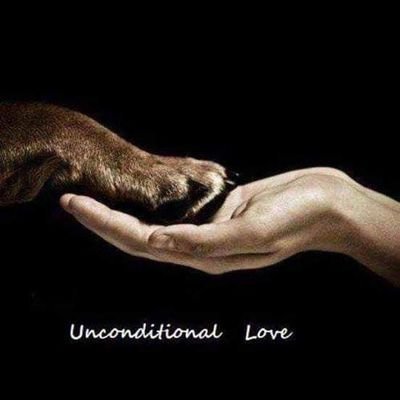 Unconditional Love🐴🐶🔗