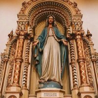 Yue (@stella_yue75) Twitter profile photo