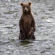 Johnny41741824's profile picture. 