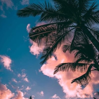 iAmLiloou's profile picture. 