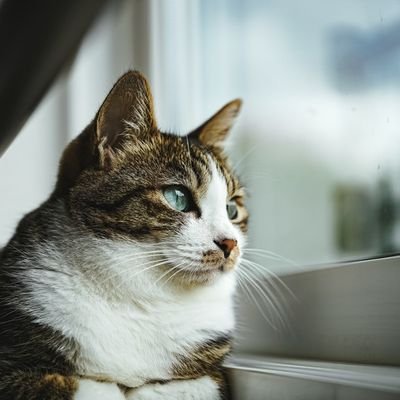 nknkgp's profile picture. 