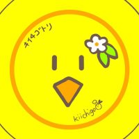 キイチゴトリ(@kiichigo_bird) 's Twitter Profile Photo