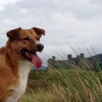 Hodder (@markhodson14) 's Twitter Profile