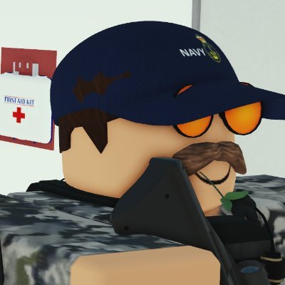 Liberal Member
Active Able Seamen aboard HMAS Canberra
Rtd Army Aviation A Squadron CO.
Rtd 1st Armoured Regiment RSM.