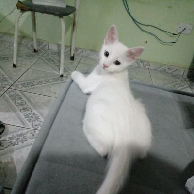 washington10334's profile picture. 