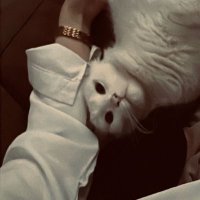 ابو أدعج (@oxuu2i) Twitter profile photo