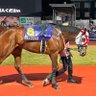 lovelyorenoeyes's profile picture. 札幌競馬場徒歩圏内土日仕事競馬難民。買い目公開してますが、予想家ではないので推奨理由は書きません🙏 地方も気分で呟きます。そして当たりません。たまに競馬以外もつぶやきます。ハピ応援垢。