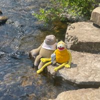 Ian noden (@lab0905) 's Twitter Profile