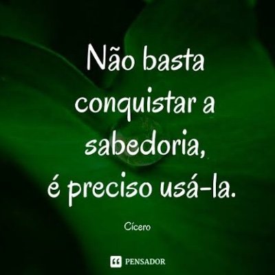 PRoberto55684's profile picture. 