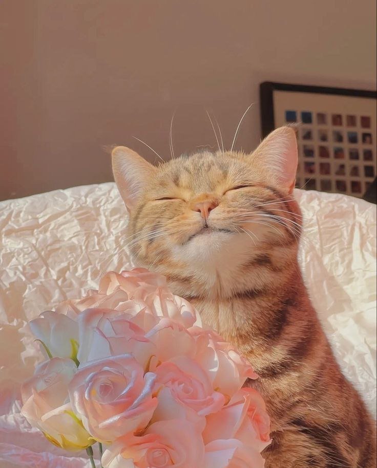 Mining_designe1's profile picture. Mindful Parenting Coach 🌎 Guiding others in the pursuit of happiness — Street style aficionado — Self-care advocate