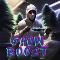 Grow Booster(@G40WB002T) 's Twitter Profile Photo