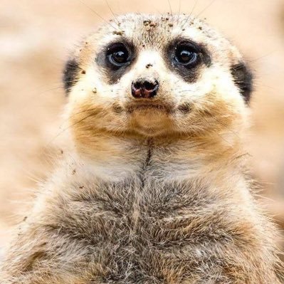kmoEさんのプロフィール画像
