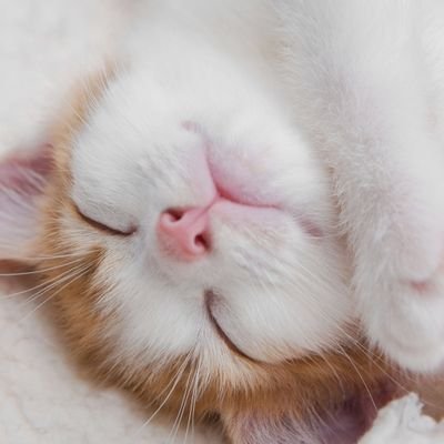 tksaor77's profile picture. 