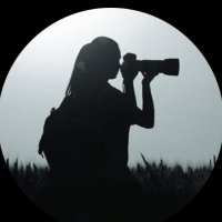 Deniz aydın yeni (@denizay80034912) Twitter profile photo