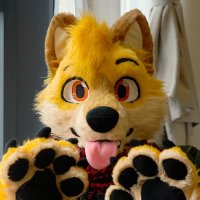 Ley the DingoFox ➡️ OFFF, FurMIT(@leydingofox) 's Twitter Profile Photo