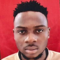 Sunday Ayo (@lifeofageek_) Twitter profile photo