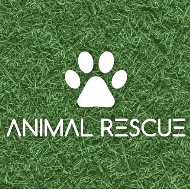 Don't hesitate to follow us for new content !

(This account is only for educational purposes. Not real animal welfare)