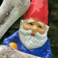 Papa Gnome (@gnomebonepress) 's Twitter Profile Photo Papa Gnome (@gnomebonepress) 's Twitter Profile Photo