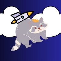 Flying raccoon (@_flying_raccoon) 's Twitter Profile