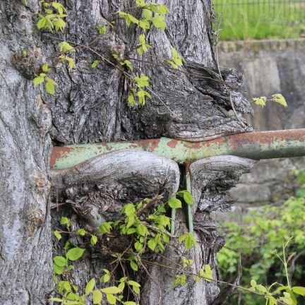 kaule28684037's profile picture. 🇩🇪 🇮🇱 🇺🇦
 auf der Suche nach des Pudels Kern!