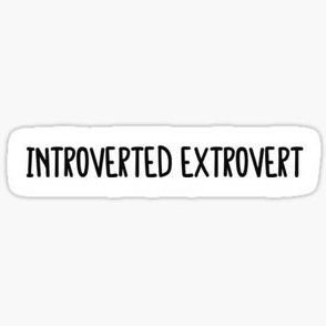 A balance of extrovert and introvert features. | Ambiverts deserve recognition too ❤️ | Relatable memes everyday ⬇️