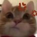 sauxe (@iisauxe) Twitter profile photo sauxe (@iisauxe) Twitter profile photo