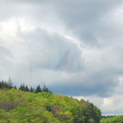 Chronic_iIIness's profile picture. Here for Infos about ME/CFS and Long Covid 💙