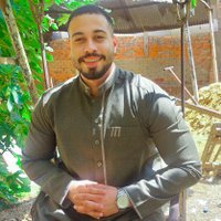 Ahmed Elkot ๐ (@ahmed_f_elkot_) 's Twitter Profile