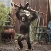 donteventripmml's profile picture. 