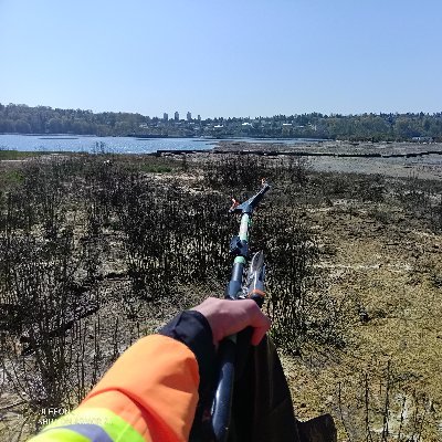 I cleanup shorelines of British Columbia by foot and kayak. Follow me and I will show you the trash and treasures out there! But  mostly IT'S TRASH.