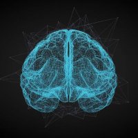 Mental Daily (@mentaldaily_com) 's Twitter Profile