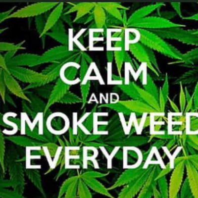 Buy Top quality weed ⛽️🔌, Cannabis seeds ,Pain killers and anxiety meds for insomnia, depression,anxiety. Delivery to all 50 states 🚚📦✈️ (Discreet delivery)