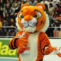 seytigers (@seytigers) 's Twitter Profile Photo