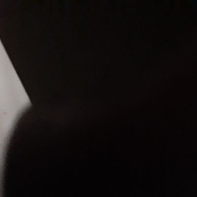 nonogram1029's profile picture. 