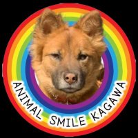 ✩.*˚アニマルスマイル香川✩.*˚ (@animalsmilekgw) 's Twitter Profile